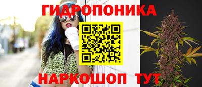 соль ск Кимры
