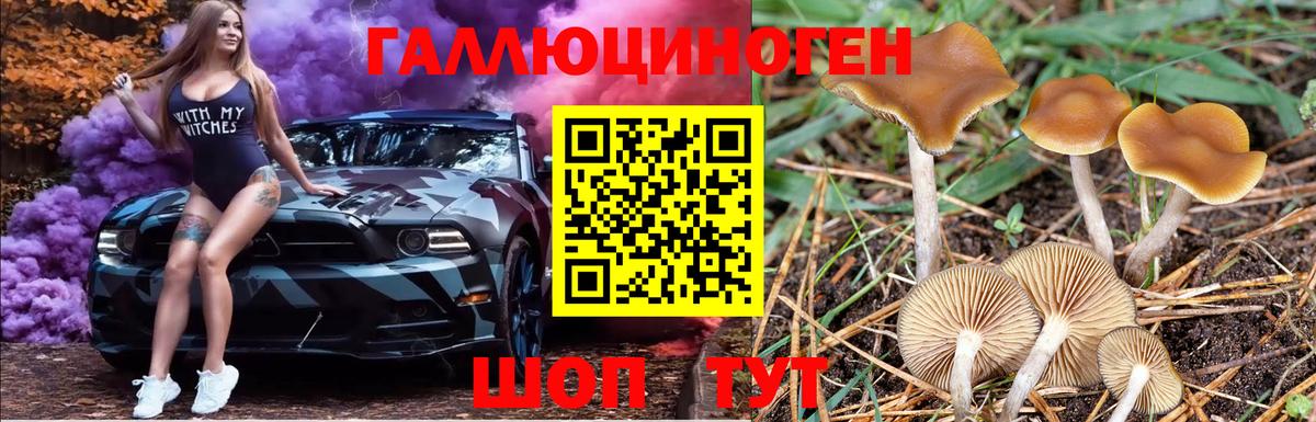 Галлюциногенные грибы ЛСД  Галлюциногенные грибы Cubensis  Миллерово  Вход с VPN 