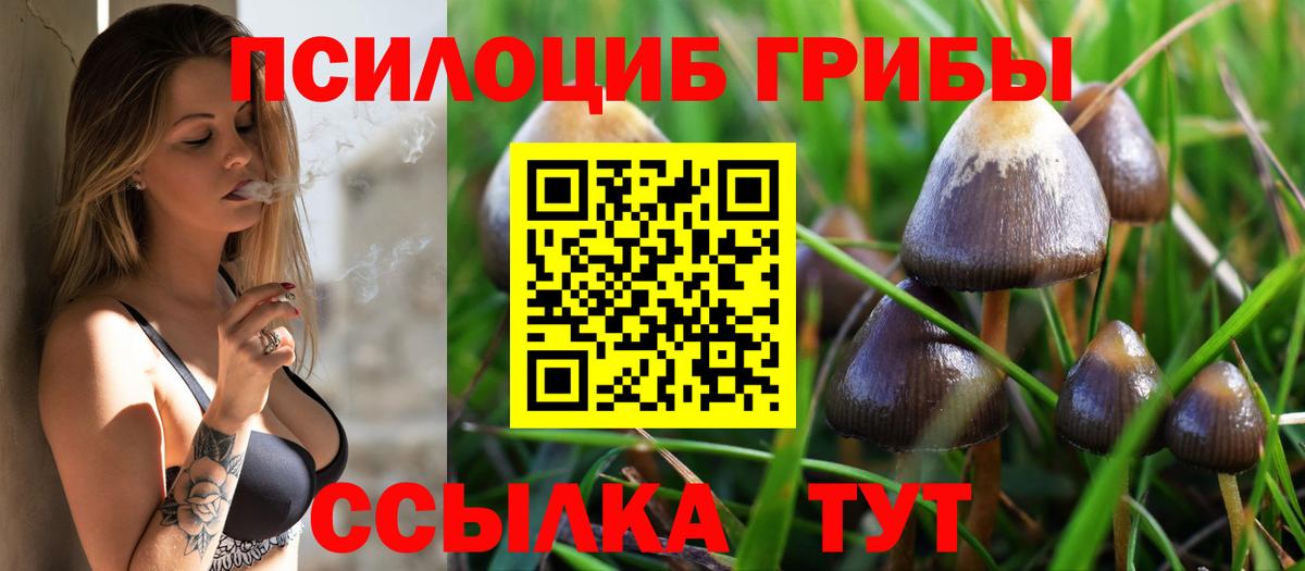 Галлюциногенные грибы GOLDEN TEACHER Миллерово